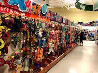 PetSmart - Photo 1 - Car repair in Yuma, AZ, Yuma