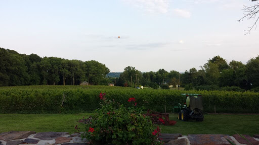 Winery «Vivat Alfa Winery», reviews and photos, 3612 Stump Rd, Fountainville, PA 18923, USA