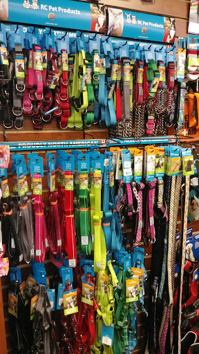 Pet Supply Store «Decadent Dogs», reviews and photos, 206 S River Ave, Holland, MI 49423, USA
