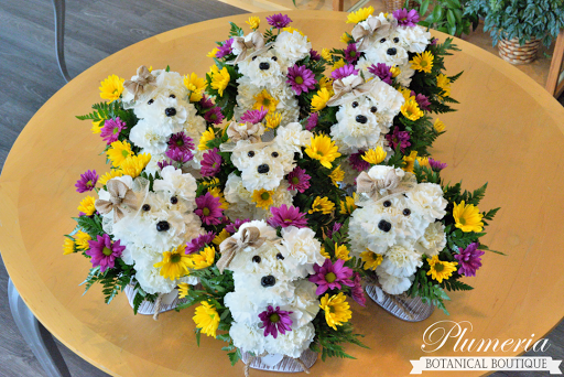 Florist «Plumeria Botanical Boutique», reviews and photos, 1364 W Michigan Ave, Battle Creek, MI 49037, USA