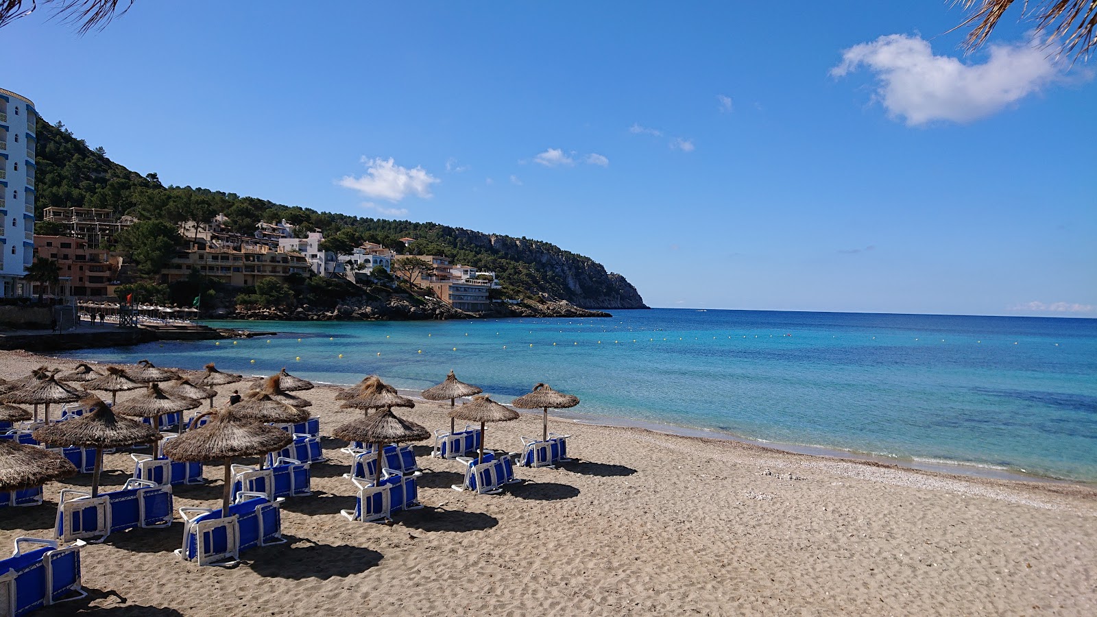 Platja de Sant Elm'in fotoğrafı - rahatlamayı sevenler arasında popüler bir yer