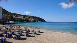 Platja de Sant Elm'in fotoğrafı - rahatlamayı sevenler arasında popüler bir yer