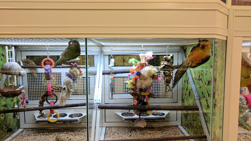 Pet Supply Store «PetSmart», reviews and photos, 4731 Commercial Dr, New Hartford, NY 13413, USA