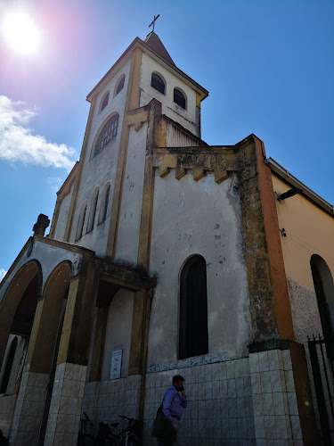 Iglesia San Francisco - Temuco