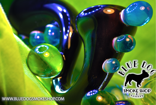 Glass Blower «Blue Dog Smoke Shop», reviews and photos, 802 Granby St, Norfolk, VA 23510, USA
