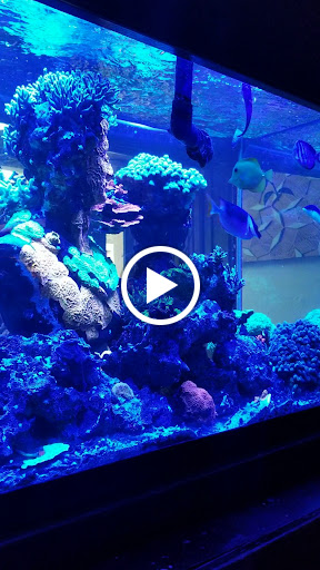 Cocktail Bar «Moloko», reviews and photos, 3967 N Mississippi Ave, Portland, OR 97227, USA