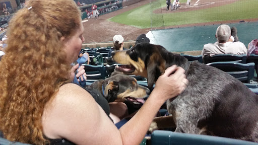 Stadium «GCS Ballpark», reviews and photos, 2301 Grizzlie Bear Blvd, Sauget, IL 62206, USA