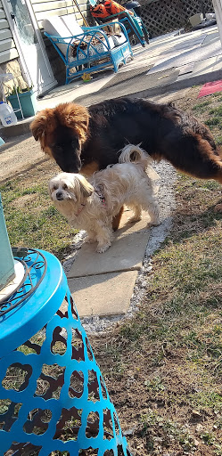 Pet Supply Store «PetPeople», reviews and photos, 3651 Michigan Ave #204, Cincinnati, OH 45208, USA