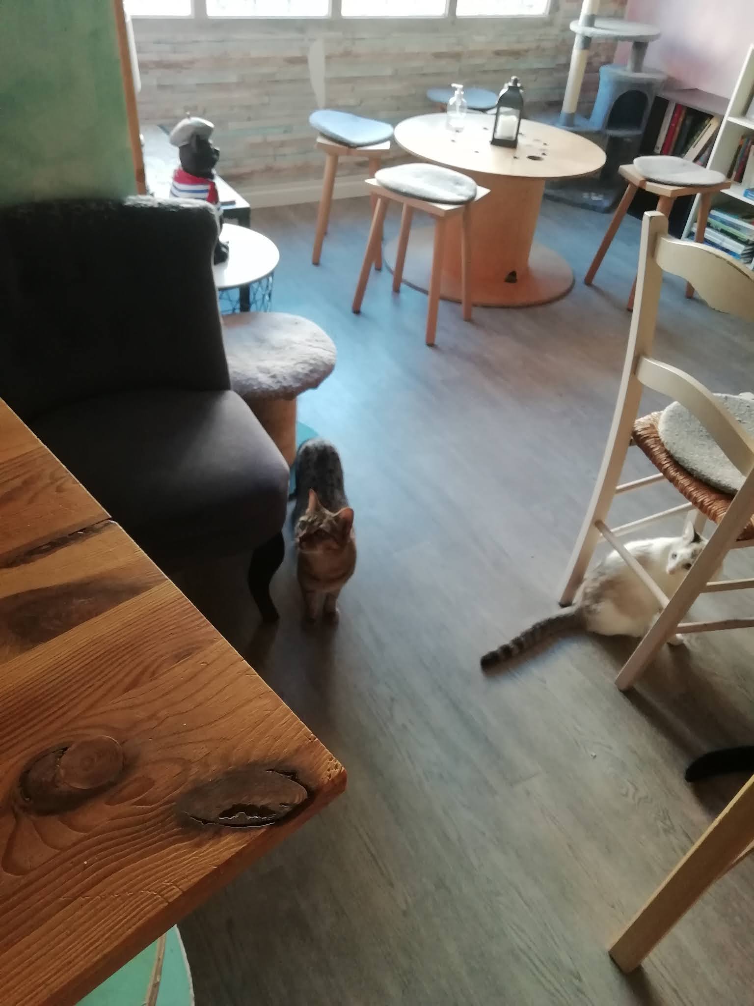 Photo n° 3 de l'avis de Lilie.m fait le 24/10/2021 à 16:51
