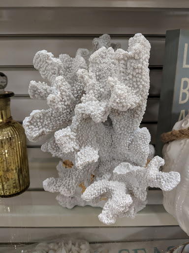 Department Store «HomeGoods», reviews and photos, 17641 Dale Mabry Hwy, Lutz, FL 33548, USA