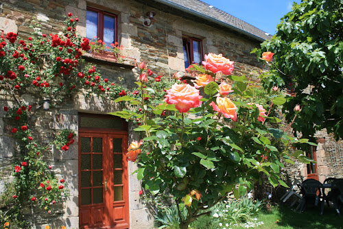 Lodge Gites du petit manoir Servon