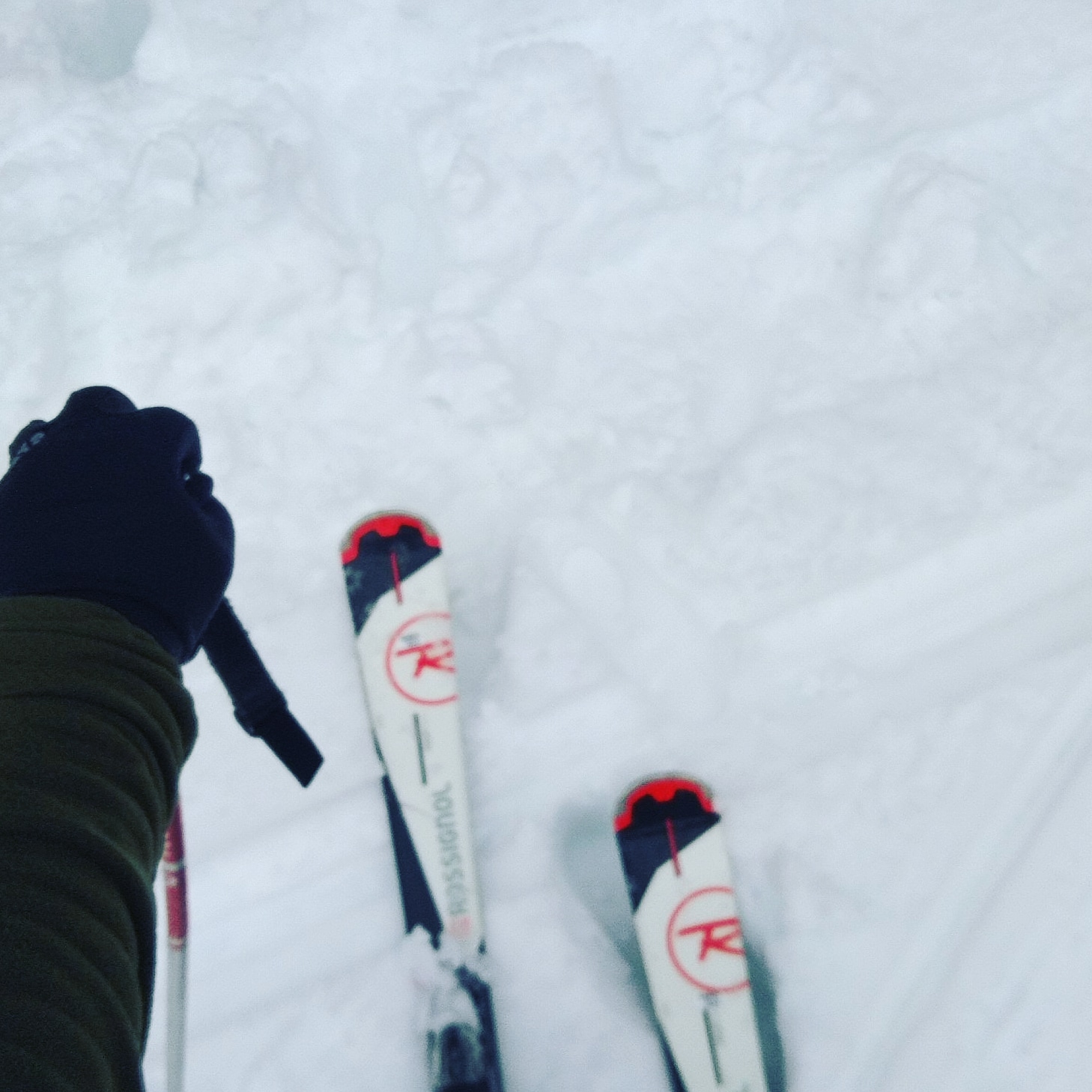 Photo n° 2 de l'avis de Tom. fait le 01/02/2019 à 15:41