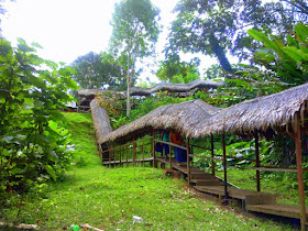 Tucan Lodge