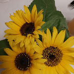 Photo n°4 de l'avis de Thomas.� fait le 14/08/2020 à 19:59 sur le  Lampes Posthotel à Delligsen