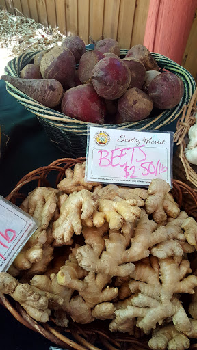 Farm «Sweetwater Organic Community Farm», reviews and photos, 6942 W Comanche Ave, Tampa, FL 33634, USA