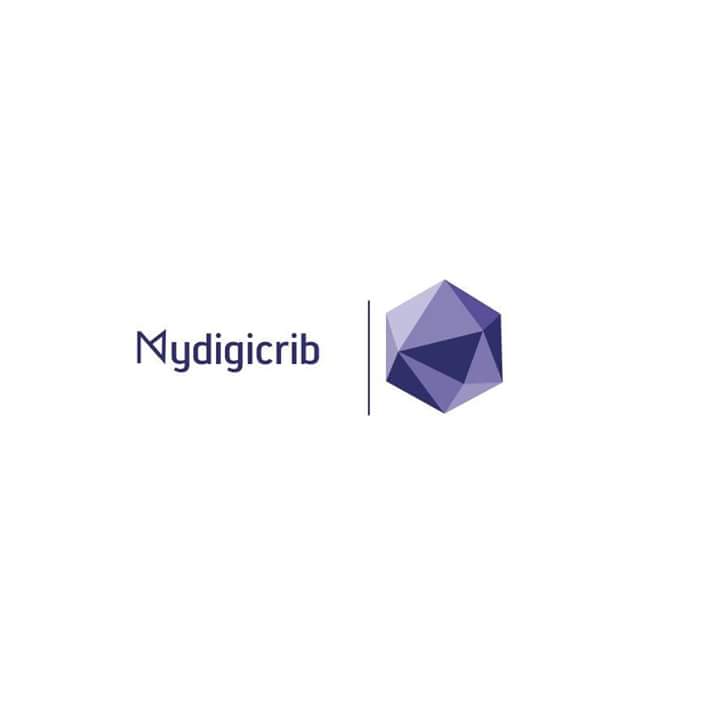 MyDigiCrib Webterprise