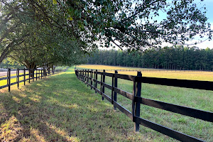 Tequila Sunrise Farm and Stables Equestrian Facility