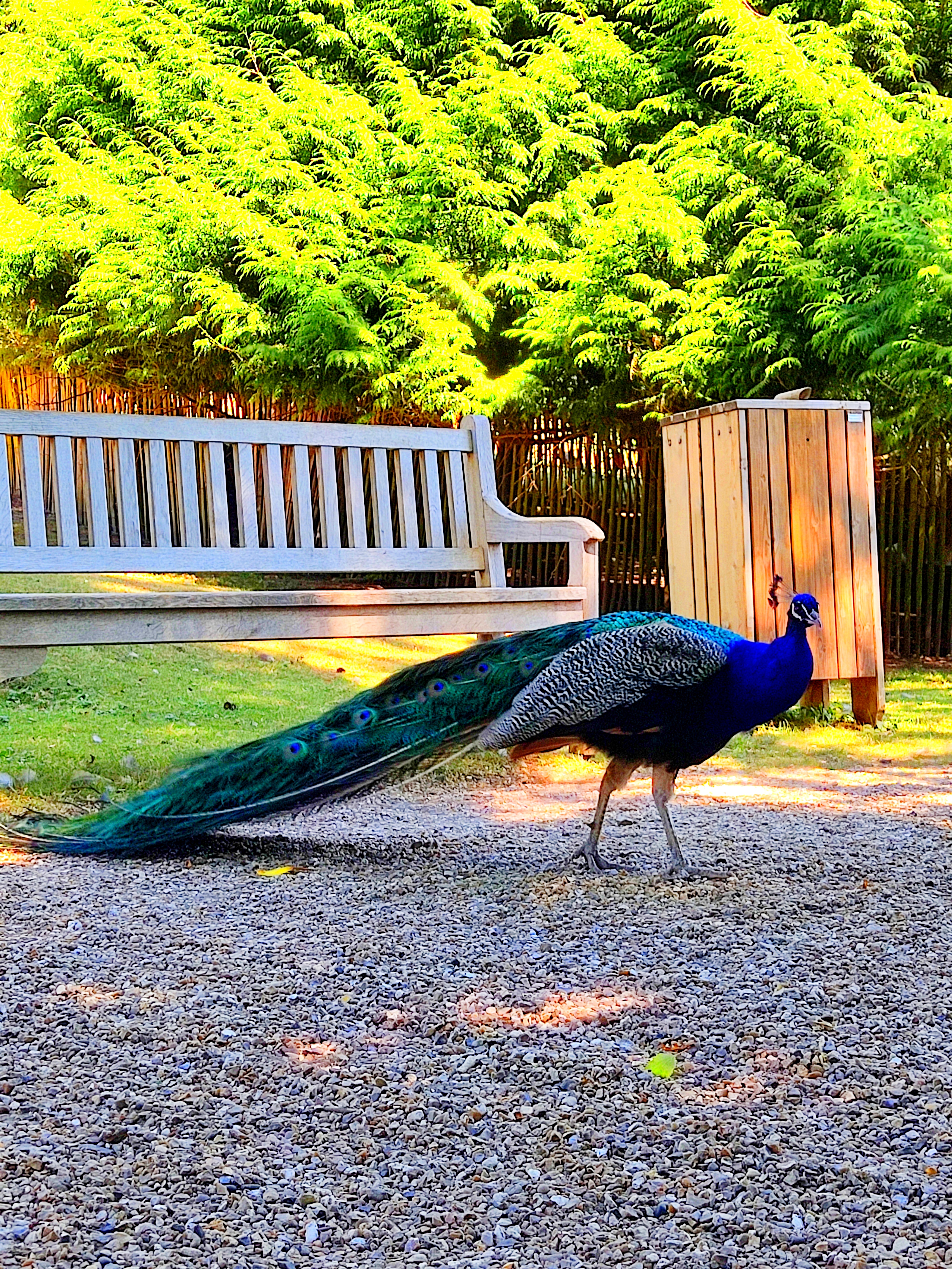 Photo n° 2 de l'avis de Clémentine.o fait le 08/08/2022 à 15:48