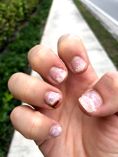 Nail Salon «Venetian Nail Spa (Flagler Village)», reviews and photos, 525 N Federal Hwy #200, Fort Lauderdale, FL 33308, USA