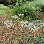 Photo n° 5 de l'avis de Henri-Pierre.e fait le 13/10/2023 à 10:14 pour Verrerie d'Art de Soisy-sur-École à Soisy-sur-École