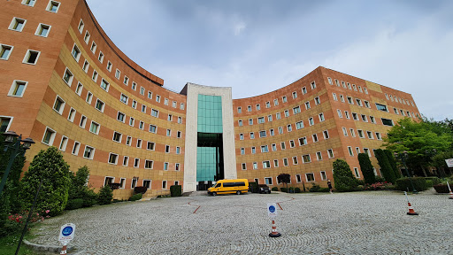 Yeditepe Üniversitesi