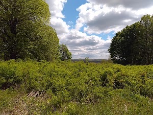 Bennetts Pond State Park - photo 33