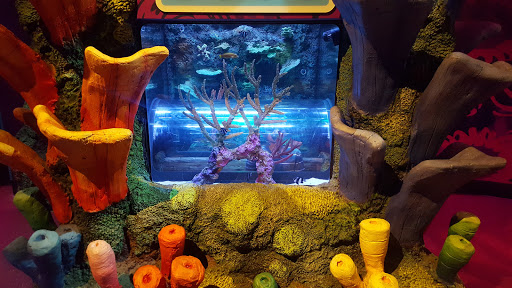 Aquarium «SEA LIFE Charlotte-Concord Aquarium», reviews and photos, 8111 Concord Mills Boulevard, Concord, NC 28027, USA