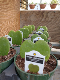 Newton Nursery and Farm - Photo 5 - Car repair in Van Buren, AR, Fort Smith