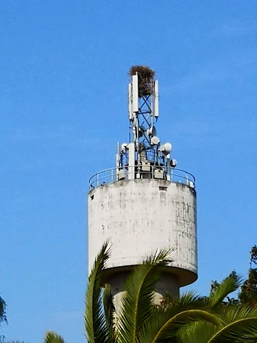 Quinta de Santa Marta - Associação