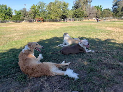 Dog Park «Phoenix Dog Park», reviews and photos, 9050 Sunset Ave, Fair Oaks, CA 95628, USA