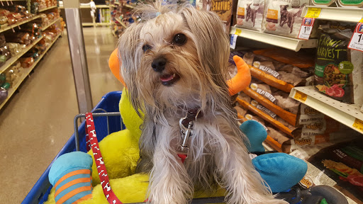 Pet Supply Store «PetSmart», reviews and photos, 1921 Gulf Fwy S, Dickinson, TX 77539, USA
