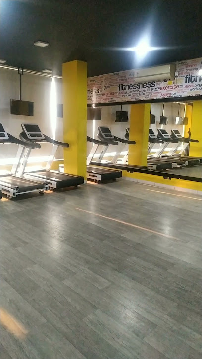 24fitness Gym & Health Centre - 3 Sampat vihar first cross road near Zodiac mall, Indore, Madhya Pradesh 452001, India