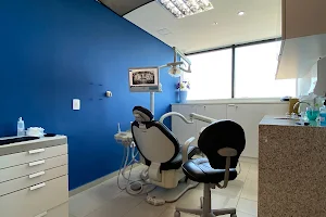 Dentarys - Palladium image