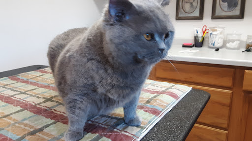 Agassiz Animal Hospital image