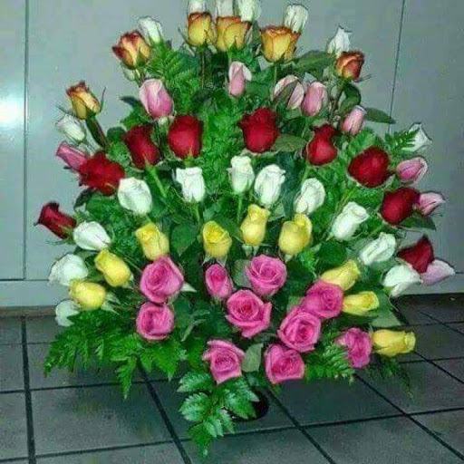 Funeral Home «Craig Funeral Home Crematory Memorial Park», reviews and photos, 1475 Old Dixie Hwy, St Augustine, FL 32084, USA