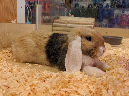 Pet Supply Store «Family Pet Store», reviews and photos, 38 Starrett Dr, Belfast, ME 04915, USA