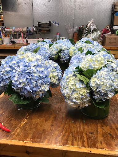 Florist «Floral Fashions», reviews and photos, 78 Purdy Ave, Port Chester, NY 10573, USA