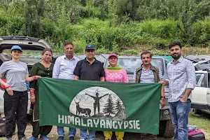 HimalayanGypsie image