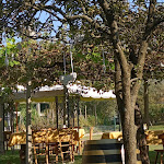 Photo n°1 de l'avis de Anna.a fait le 12/09/2021 à 19:12 sur le  Antica Trattoria Vigna à Castelnovo del Friuli