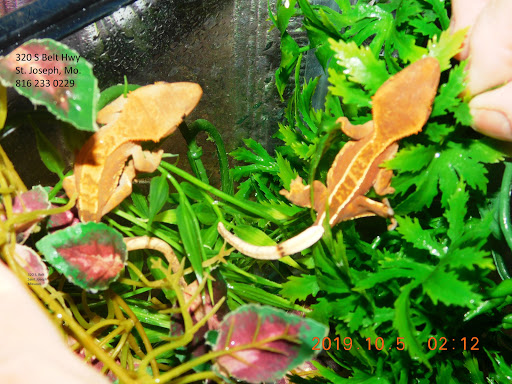 Pet Store «Critters Pet Shop tuff toys for dogs», reviews and photos, 320 S Belt Hwy, St Joseph, MO 64506, USA