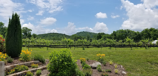 Winery «Cellar 53 Winery», reviews and photos, 115 Oak View Dr E, Brush Creek, TN 38547, USA