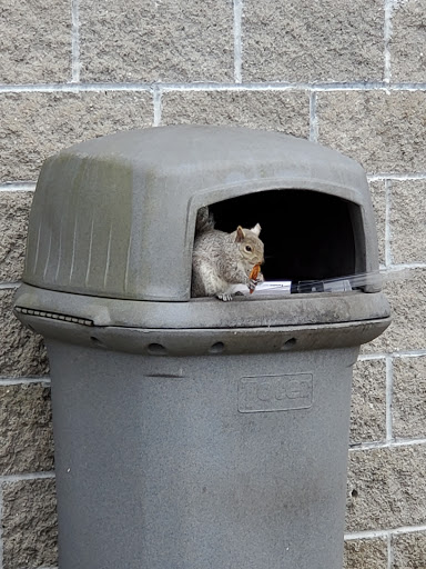 Auto Parts Store «Pep Boys Auto Parts & Service», reviews and photos, 1177 Boston Rd, Springfield, MA 01119, USA