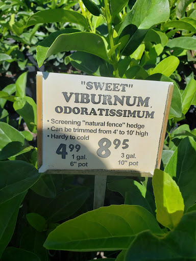 Florist «Weatherbee Nursery», reviews and photos, 701 E Weatherbee Rd, Fort Pierce, FL 34982, USA