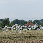 Photo n°7 de l'avis de Dina.e fait le 09/08/2021 à 12:17 sur le  Hofladen Straussenfarm Ostseeblick à Hohenfelde