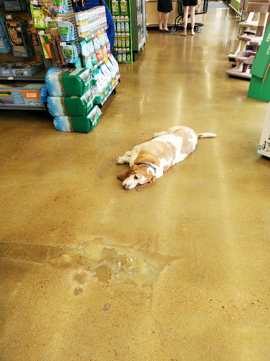 Pet Supply Store «Pet Supplies Plus», reviews and photos, 8175 Sheridan Blvd a, Arvada, CO 80003, USA