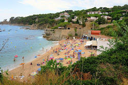 Photo de Platja Port Pelegri et le règlement