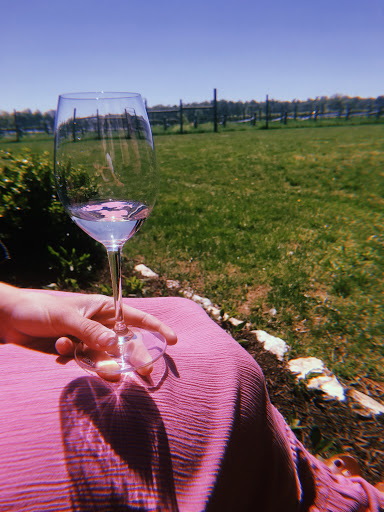 Vineyard «North Gate Vineyard», reviews and photos, 16031 Hillsboro Rd, Purcellville, VA 20132, USA