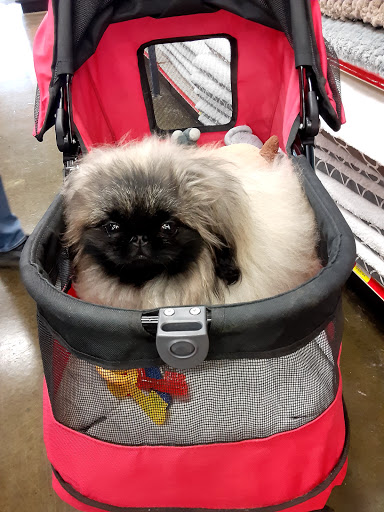 Pet Supply Store «Care-A-Lot Pet Supply», reviews and photos, 1924 Diamond Springs Rd, Virginia Beach, VA 23455, USA