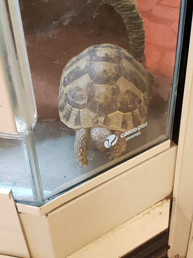 Pet Supply Store «PetSmart», reviews and photos, 2929 James Sanders Blvd f, Paducah, KY 42001, USA