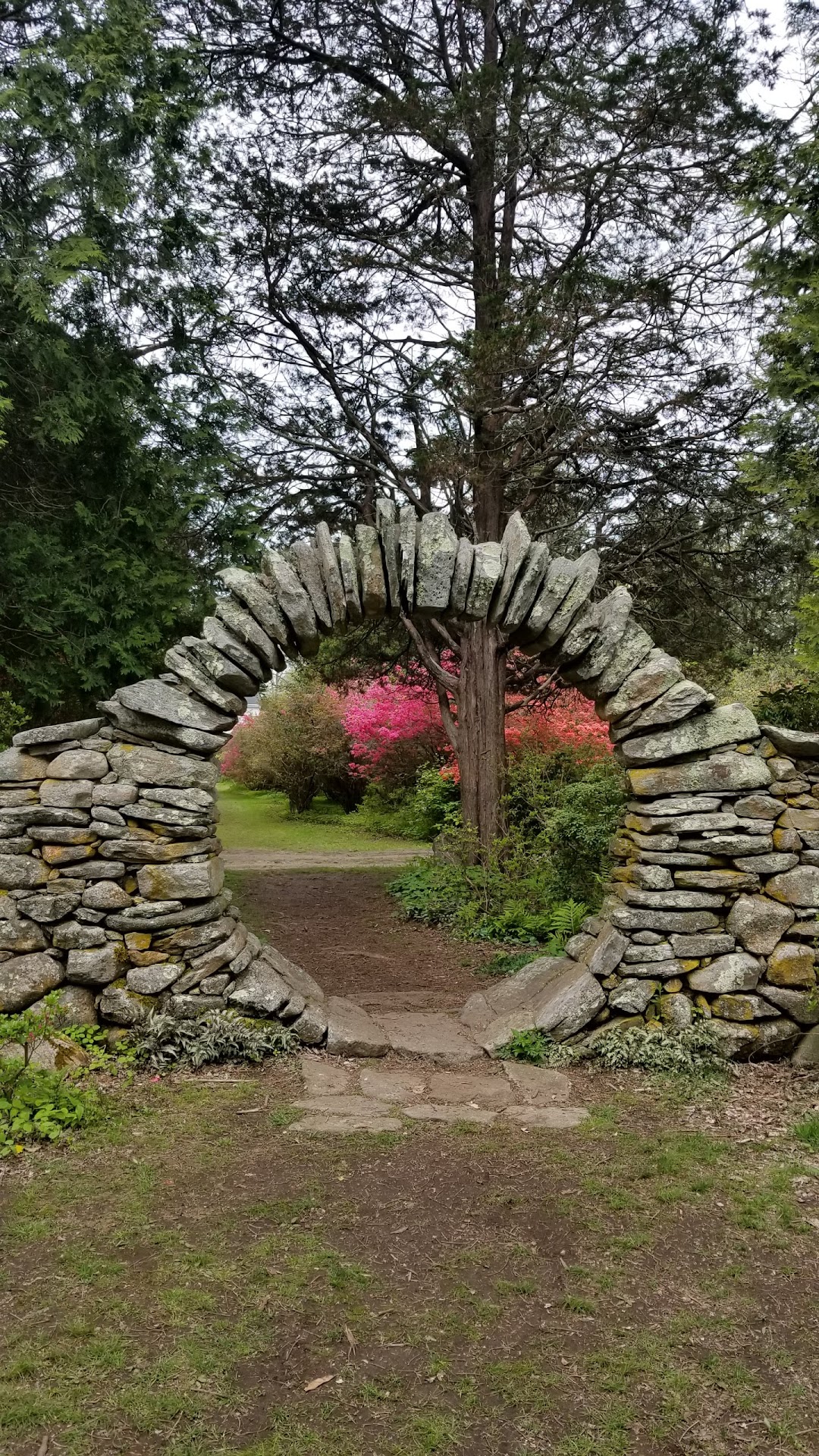 Kinney Azalea Gardens